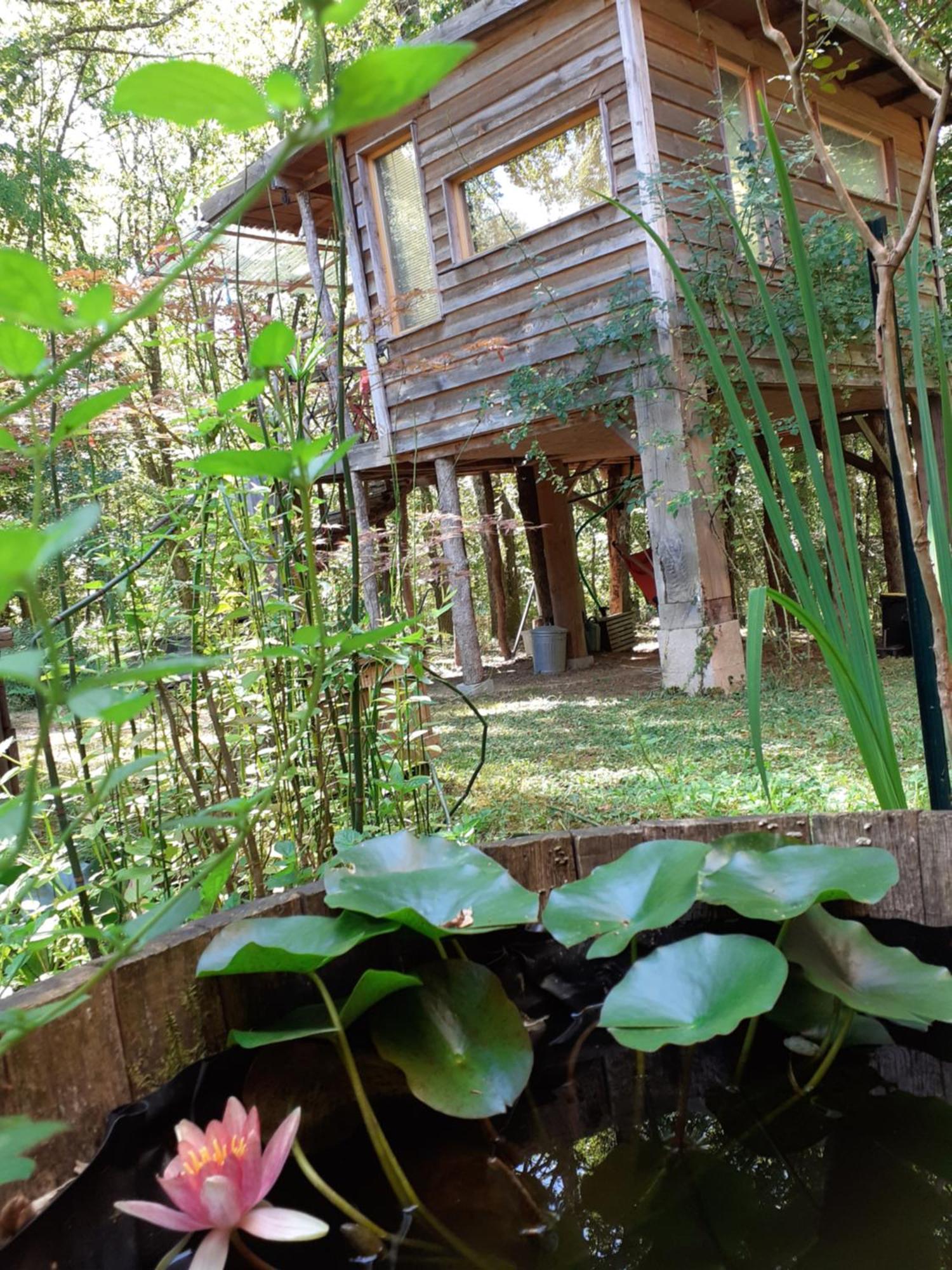 La Cabane De L'Oiseau Couze-et-Saint-Front Esterno foto